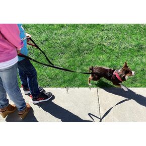 Kid Friendly Dog Leash for Medium & Large Dog, 6ft Long Two Person Heavy Duty Nylon Puppy Leash with Dual Red Padded Neoprene Cute Handles Lead for Walking, Running, and Training Dogs The Love Leash