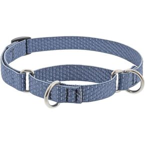 Martingale Dog Collar by Lupine ECO Collection 3/4" Wide Mountain Lake adjusts 14" to 20"