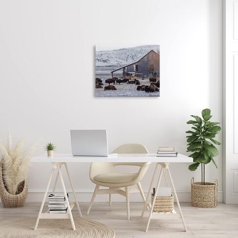 Stupell Industries Grazing Rural Bison Snowy Farmland Barn Scenery، تصميم جيف بو للتصوير الفوتوغرافي in Saudi Arabia