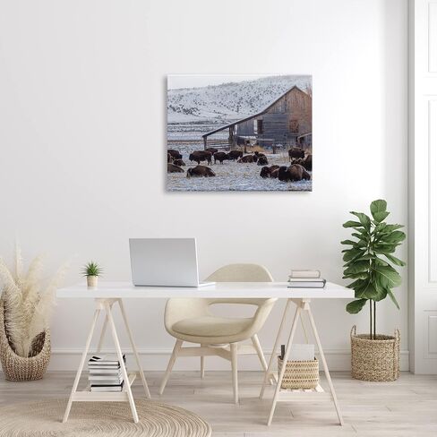 Stupell Industries Grazing Rural Bison Snowy Farmland Barn Scenery، تصميم جيف بو للتصوير الفوتوغرافي in Saudi Arabia