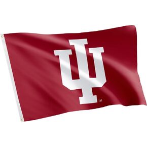 Desert Cactus Indiana University Flag Hoosiers Bloomington Flags Banners 100% Polyester Indoor Outdoor 3x5 (Style 3)