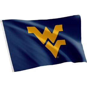 Desert Cactus West Virginia University Flag Mountaineers Banners 100% Polyester Indoor Outdoor 3x5 (Style 1)