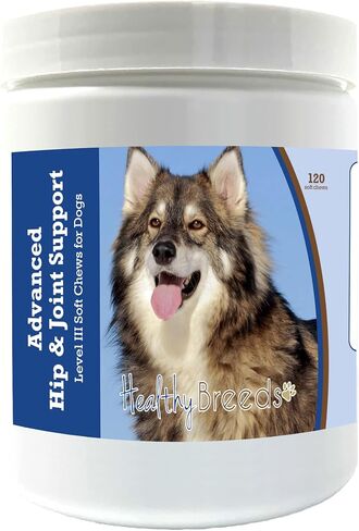 Healthy Breeds Pembroke Welsh Corgi Advanced Hip & Joint Support Level III Soft Chews for Dogs - Promotes an Active, Comfortable Life with Glucosamine, Chondroitin & Green Lipped Mussel- 120 Count in Saudi Arabia