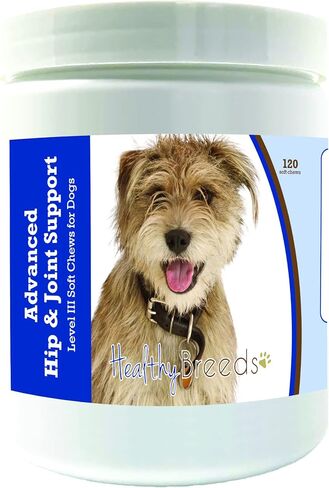 Healthy Breeds Pembroke Welsh Corgi Advanced Hip & Joint Support Level III Soft Chews for Dogs - Promotes an Active, Comfortable Life with Glucosamine, Chondroitin & Green Lipped Mussel- 120 Count in Saudi Arabia
