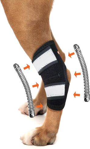 NeoAlly Super Supportive Dog Braces for Rear Leg and Hock Joint with Dual Metal Spring Strips Stabilize Canine hind Legs from Wound, Injury, Sprains, Arthritis (S Pair) in Saudi Arabia