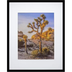 إطارات صور قماشية سوداء مقاس 16 × 20 مقاس 16 × 20 بوصة مقاس 16 × 20 بوصة in Kuwait