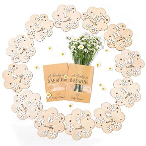 12Pcs Daisy Baby Monthly Milestone Cards Floral Wooden Marker Discs Rustic Flower Baby Month Announcement Sign for Pregnancy Newborn Baby Growth Photo Prop Decor Supplies