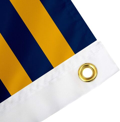 Desert Cactus West Virginia University Flag Mountaineers Banners 100% Polyester Indoor Outdoor 3x5 (Nation Flag) in Saudi Arabia