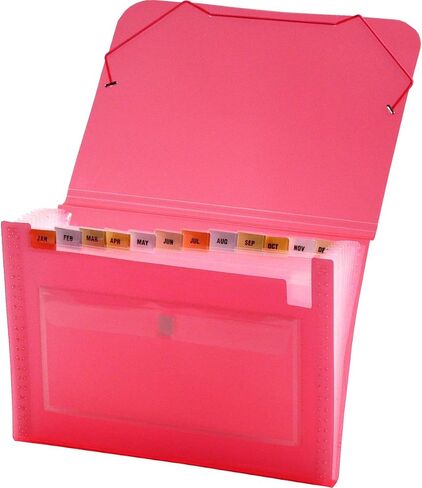 Lion Clear-Line 7-Pocket Poly Expanding File, Clear, 1 File (94500-CR) in Saudi Arabia