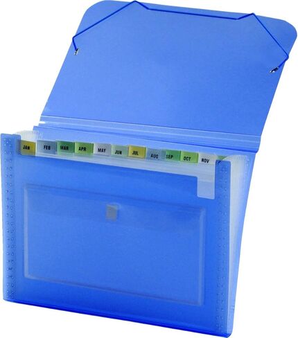Lion Clear-Line 7-Pocket Poly Expanding File, Clear, 1 File (94500-CR) in Saudi Arabia