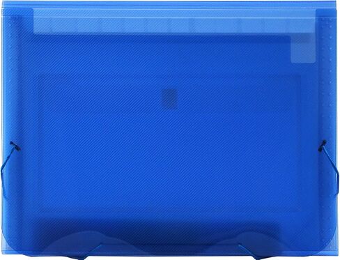 Lion Clear-Line 7-Pocket Poly Expanding File, Clear, 1 File (94500-CR) in Saudi Arabia