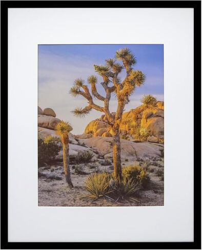 إطارات صور قماشية سوداء مقاس 16 × 20 مقاس 16 × 20 بوصة مقاس 16 × 20 بوصة in Kuwait