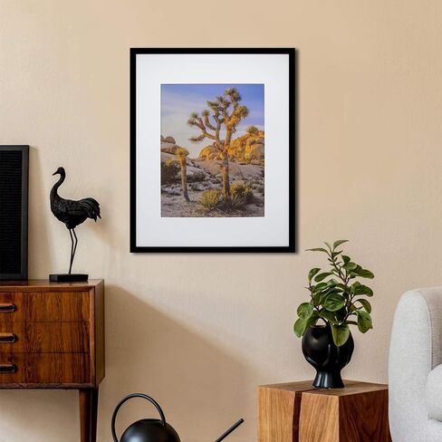 إطارات صور قماشية سوداء مقاس 16 × 20 مقاس 16 × 20 بوصة مقاس 16 × 20 بوصة in Kuwait