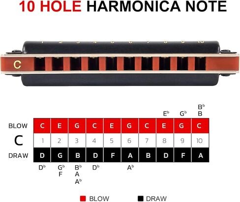بلوز هارمونيكا، مجموعة هارمونيكا AKLOT ذات 10 فتحات للأطفال والكبار مفتاح A B C D E F G 7 درجات مع حافظة صلبة سوداء in Kuwait