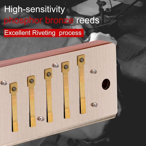 بلوز هارمونيكا، مجموعة هارمونيكا AKLOT ذات 10 فتحات للأطفال والكبار مفتاح A B C D E F G 7 درجات مع حافظة صلبة سوداء in Kuwait