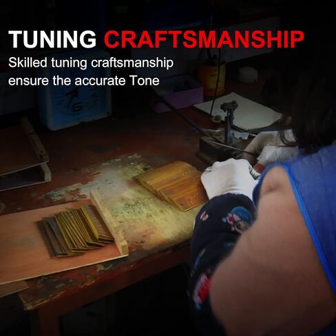 بلوز هارمونيكا، مجموعة هارمونيكا AKLOT ذات 10 فتحات للأطفال والكبار مفتاح A B C D E F G 7 درجات مع حافظة صلبة سوداء in Kuwait