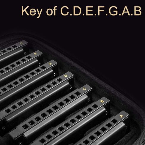 Blues Harmonica, AKLOT 10 Holes Harmonicas Set for Kids Adults Key of A B C D E F G 7 Tone with Hard Case Black in Saudi Arabia