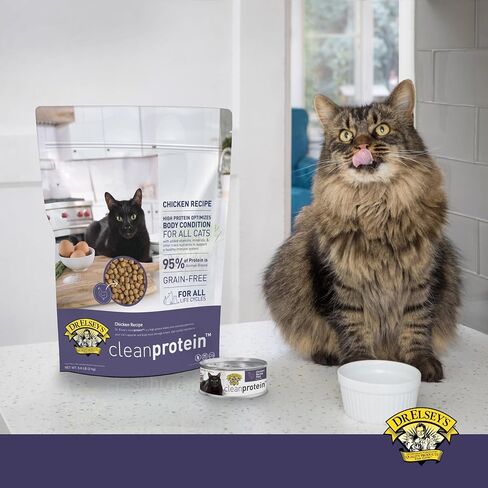Dr. Elsey's cleanprotein Chicken Recipe Wet Cat Food (Case of 24), 2.75 oz Canned Food in Saudi Arabia