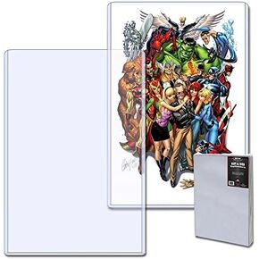 BCW 10 12 x 18 Topload Holder Rigid Plastic - BCW-TLCH-12X18 in Kuwait