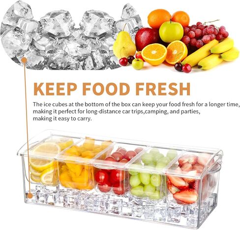 Chilled Condiment Server Clear ICY Condiment Bar Condiment Tray ice Party Serving bar with Lid Bar Garnish Holder on ice 5 Removable Compartments in Saudi Arabia