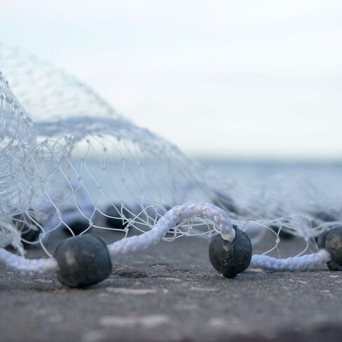 Bait Buster Menhaden Cast Net 5/8 Mesh 6 FT in Saudi Arabia