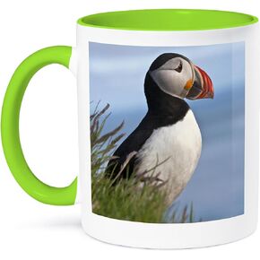 3dRose Atlantic Puffin Bird Iceland Mug, 11 oz, Black