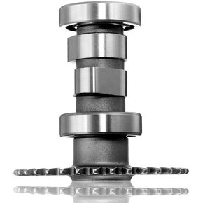 Camshaft for GY6 50cc 60cc 80cc High Performance Angle A9 Camshaft 139QMB 139QMA Scooter Moped ATV Baotian