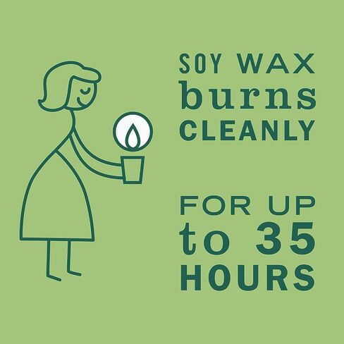 Mrs. Meyer's Clean Day Soy Candle, Iowa Pine 7.2 Ounce (Pack of 2) in Saudi Arabia