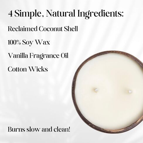 Frezco Jasmine Scented Reclaimed Coconut Shell Candle | 100% Natural Soy Wax with Double Cotton Wick | Spa Ocean Beach Decor | 1 Pack in Saudi Arabia