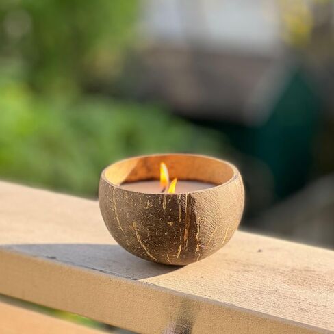 Frezco Jasmine Scented Reclaimed Coconut Shell Candle | 100% Natural Soy Wax with Double Cotton Wick | Spa Ocean Beach Decor | 1 Pack in Saudi Arabia