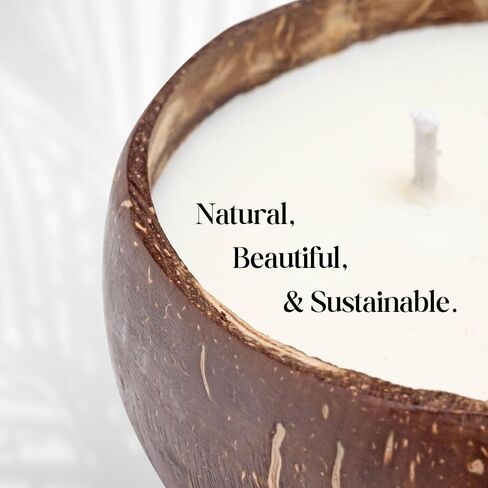 Frezco Jasmine Scented Reclaimed Coconut Shell Candle | 100% Natural Soy Wax with Double Cotton Wick | Spa Ocean Beach Decor | 1 Pack in Saudi Arabia