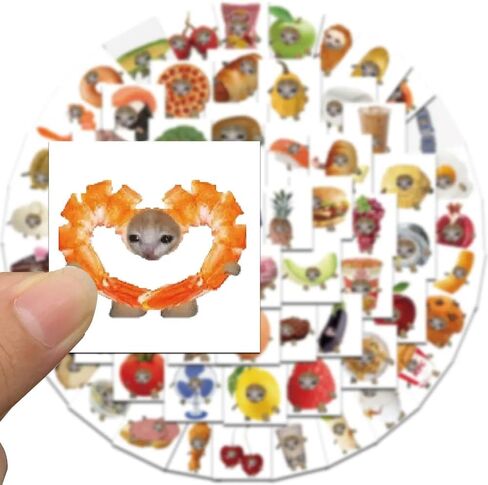 65Pcs Cat Stickers Cute Kawaii Animal Meme Stickers Water Bottle Skateboard Snowboard Laptop Decal Decoration Gift Boys Girls Christmas Birthday Teens in Saudi Arabia