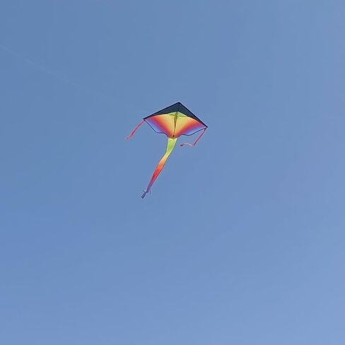 Delta Kite for Kids & Kites for Adults Easy to Fly, Beach Kite, Kids Kite for Beginner, Single Line Kite with 300ft Line for Beach Trip in Saudi Arabia
