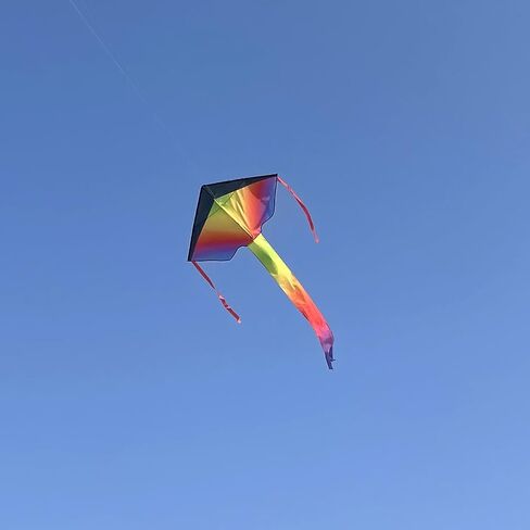 Delta Kite for Kids & Kites for Adults Easy to Fly, Beach Kite, Kids Kite for Beginner, Single Line Kite with 300ft Line for Beach Trip in Saudi Arabia