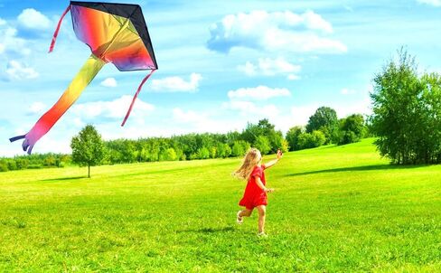 Delta Kite for Kids & Kites for Adults Easy to Fly, Beach Kite, Kids Kite for Beginner, Single Line Kite with 300ft Line for Beach Trip in Saudi Arabia
