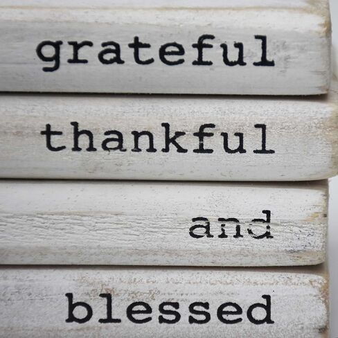 كتب خشبية مزخرفة - كتب مكدسة من الخشب المطلي باللون الأبيض مربوطة بخيوط وخضراء، ديكور مزرعة حديث للرف أو الرف، 5.9 بوصة عرض × 3.8 بوصة ارتفاع × 2.6 بوصة عمق in Kuwait