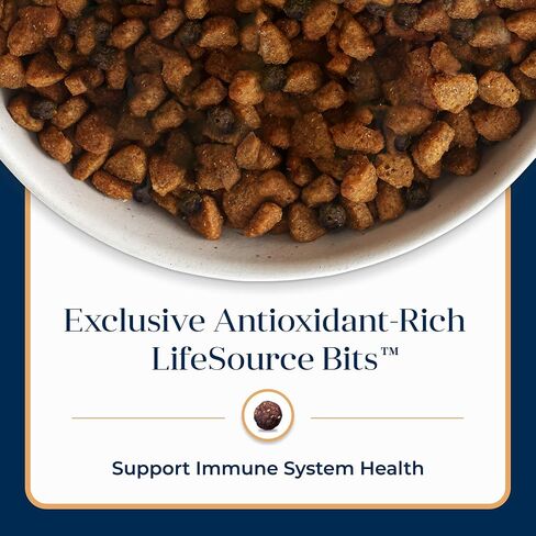 Blue Buffalo Basics Healthy Weight Adult Dry Dog Food, Skin & Stomach Care, Limited Ingredient Diet for Dogs, Turkey Recipe, 4-lb. Bag in Saudi Arabia
