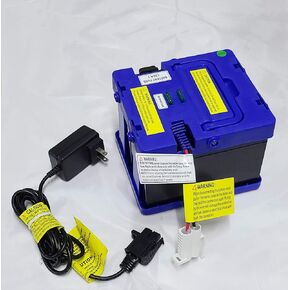24 Volt Battery and Charger Compatibal with for Motion Trendz Mega Tredz Yamaha Grizzly Action Wheels Monster Jam Grave Digger Thunder Tank Battery Powered Ride On