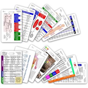 Complete Nurse RN CNA NA Vertical Badge Card Set - 13 Cards