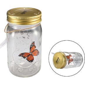 Butterfly in a Jar, Airlxf Glass Animated Butterfly In A Jar With LED Light Gift Decoration (Orange)