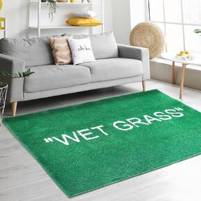 Wet Grass Rug for Bedroom-Non Slip Wet Grass Carpet for Living room-Green Grass Rug is Machine Washable Home Floor Mat-Premium Area Rug for Home Decor [31.5 x 23.6] in Saudi Arabia