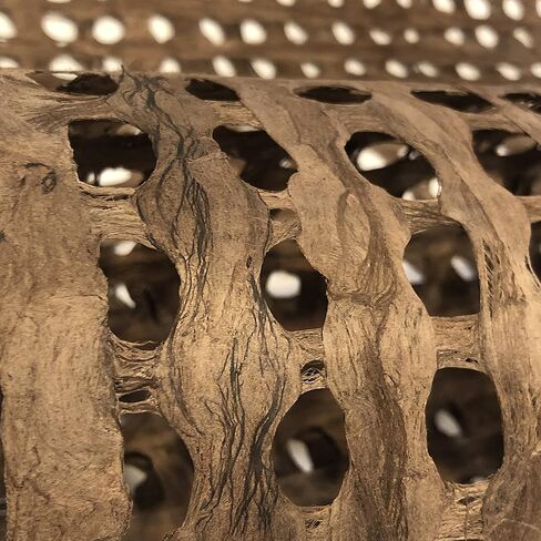 ورق Amate Bark مقاس XL بني مقاس 38 بوصة × 16 بوصة (96 سم × 40 سم)، يستخدم في المشروعات التي تصنعها بنفسك: فن الحائط، وظلال المصابيح، والأثاث المعاد تدويره وإعادة استخدامه، وملمس الحائط in Kuwait