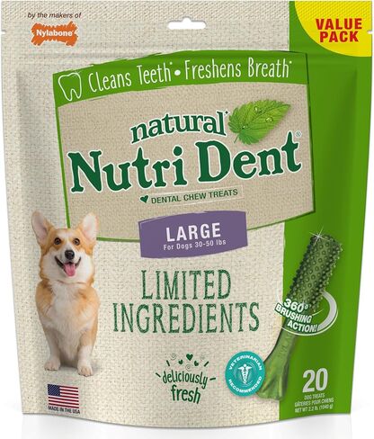 Nylabone Nutri Dent Dog Dental Chews - Natural Dog Teeth Cleaning & Breath Freshener - Dental Treats for Dogs - Filet Mignon Flavor, X-Large (1 Count) in Saudi Arabia