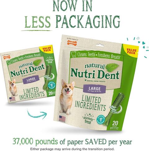 Nylabone Nutri Dent Dog Dental Chews - Natural Dog Teeth Cleaning & Breath Freshener - Dental Treats for Dogs - Filet Mignon Flavor, X-Large (1 Count) in Saudi Arabia