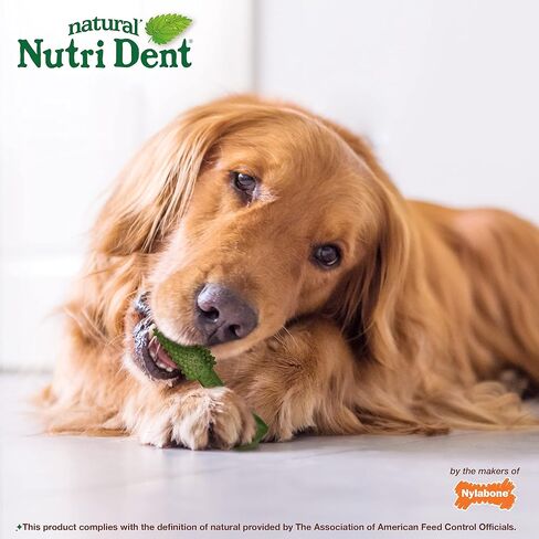 Nylabone Nutri Dent Dog Dental Chews - Natural Dog Teeth Cleaning & Breath Freshener - Dental Treats for Dogs - Filet Mignon Flavor, X-Large (1 Count) in Saudi Arabia
