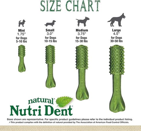 Nylabone Nutri Dent Dog Dental Chews - Natural Dog Teeth Cleaning & Breath Freshener - Dental Treats for Dogs - Filet Mignon Flavor, X-Large (1 Count) in Saudi Arabia