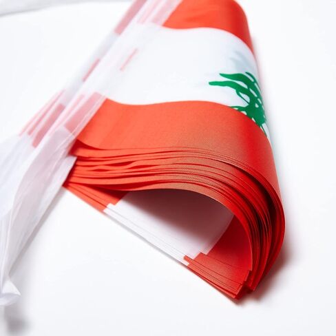 أعلام لبنان لبنانية صغيرة سلسلة راية راية العلم مهرجان الزينة (50 قدم 38 أعلام) in Kuwait