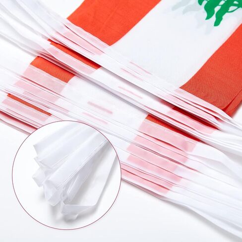 أعلام لبنان لبنانية صغيرة سلسلة راية راية العلم مهرجان الزينة (50 قدم 38 أعلام) in Kuwait