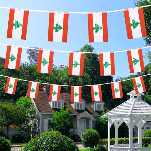 أعلام لبنان لبنانية صغيرة سلسلة راية راية العلم مهرجان الزينة (50 قدم 38 أعلام) in Kuwait