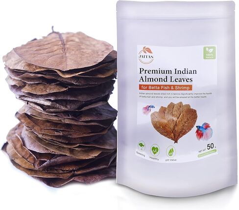 Premium Indian Almond Leaves – Water Conditioner, Benefits with Fish Fin Color Enhancement, Effective Breeding of Betta Fish & Shrimp, 8-10 Inches, 50g (20+ Leaves/Pack) in Saudi Arabia